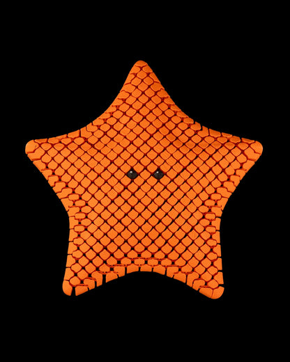 Betsie, the Sea Bat Star