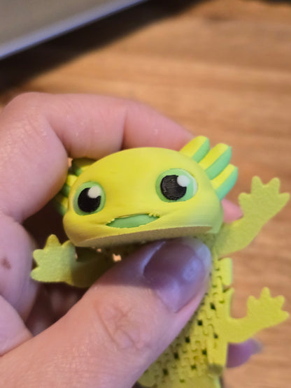 Ashley, the Axolotl - Mesh Buddy