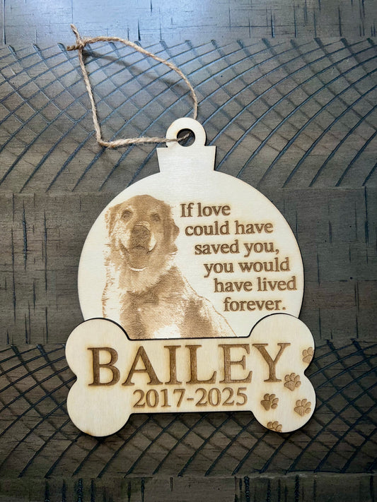 Pet Memorial Ornament/Magnet