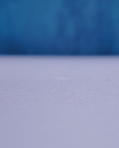 Myrtle, the Turtle - Mesh Buddy