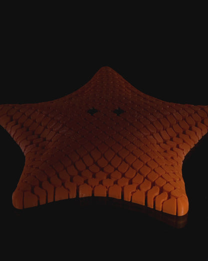 Betsie, the Sea Bat Star